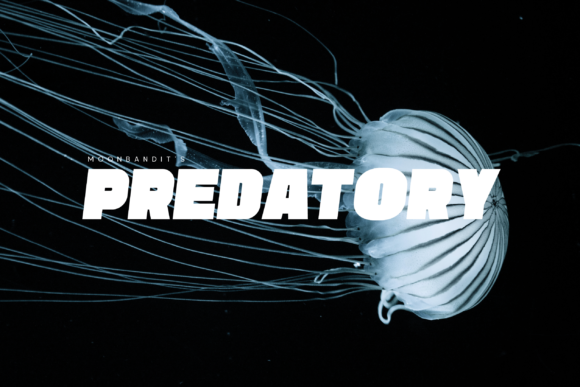 Predatory: A Bold Display Font for Web Design